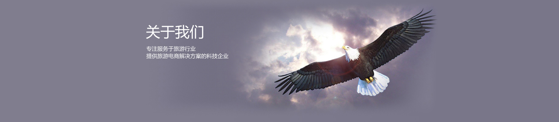 旅游系统 旅行社管理系统