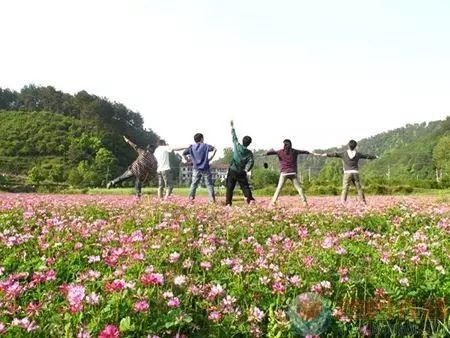 青年用户主导在线旅游消费 业务创新是吸金利器